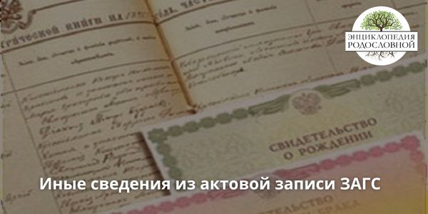 Как внести иные сведения в ЕГР ЗАГС и получить расширенную справку: полное руководство